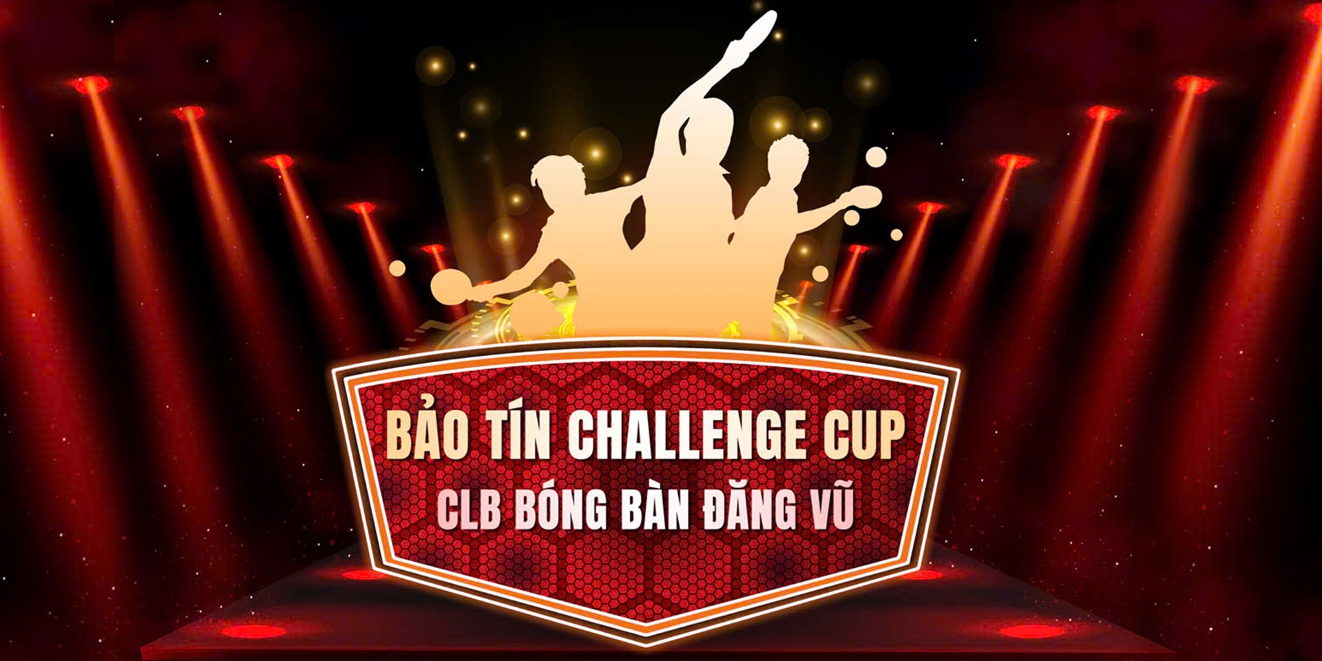 BẢO TÍN CHALLENGE CUP